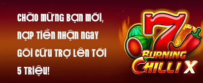 Experience world-class online casino at OK8